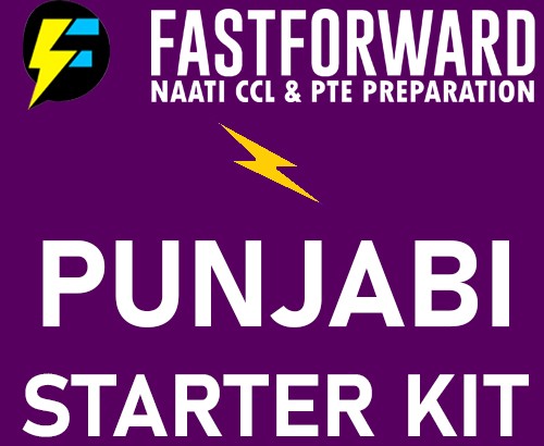 Punjabi Starter