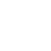 Icons8 Shield 100